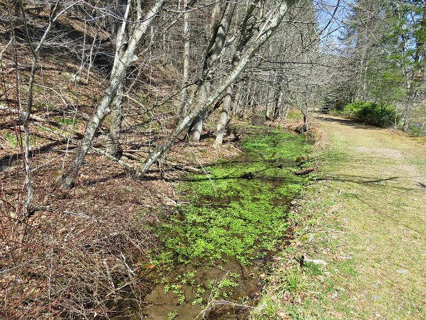 BeaverkillCampgroundsApr2026