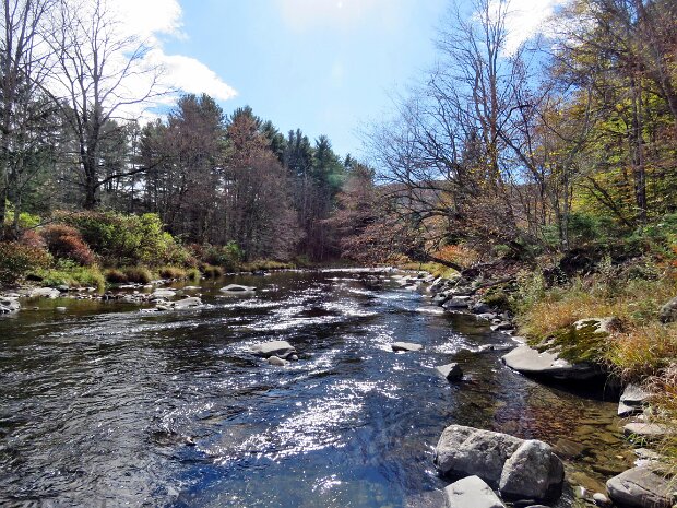 BeaverkillCampgroundsOct2025