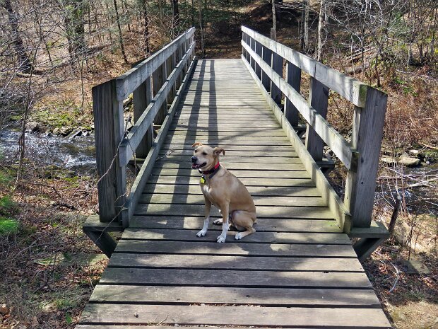 FlynnBigRockQuickApr2026