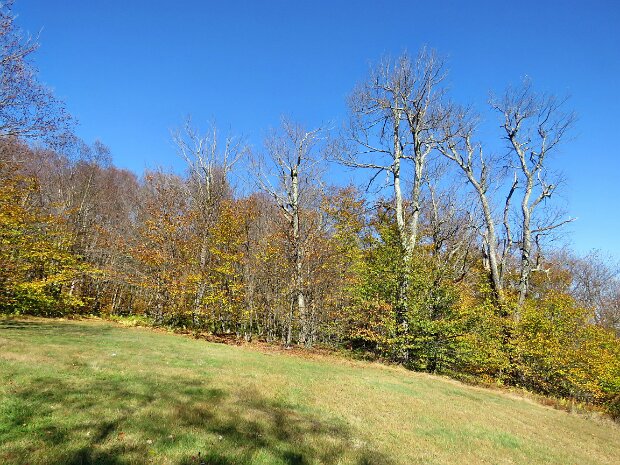 HodgeLookoutsOct2025