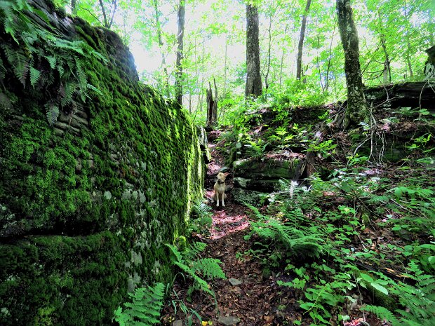 BigLittlePondJun2025