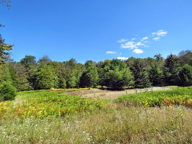 MongaupLedgesFrickLoopSep2025