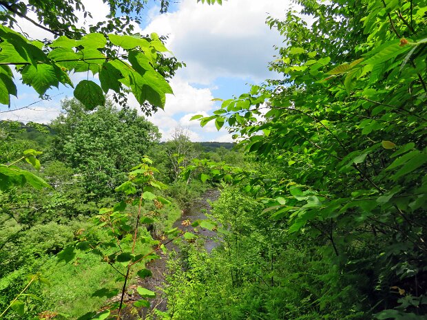 ParksvilleFallsJul2025