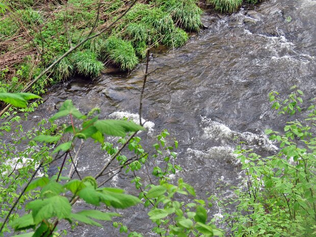 ParksvilleRailTrailMay2025