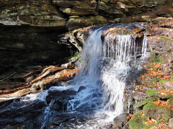 picture taken during a hike