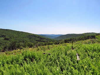 picture taken during a hike