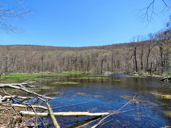 picture taken during a hike