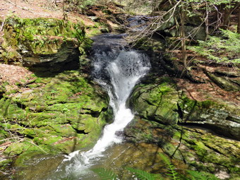 picture taken during a hike