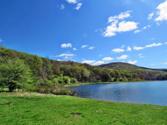 picture taken during a hike