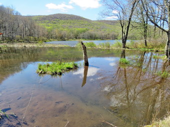 picture taken during a hike