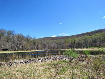picture taken during a hike