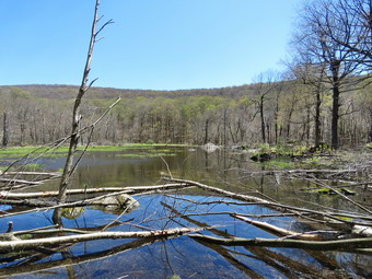 picture taken during a hike