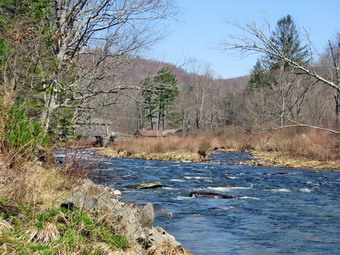 picture taken during a hike
