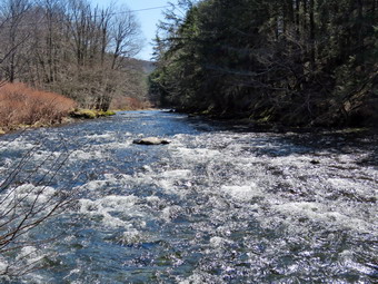 picture taken during a hike