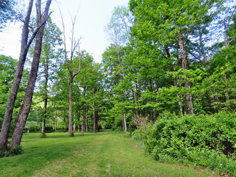 picture taken during a hike
