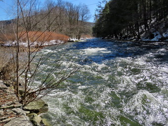 picture taken during a hike