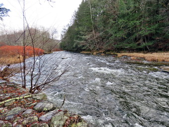 picture taken during a hike