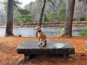 picture taken during a hike