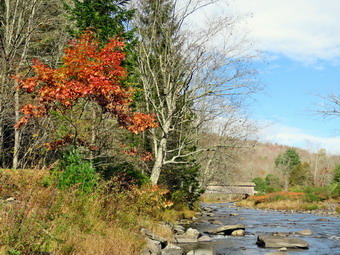 picture taken during a hike