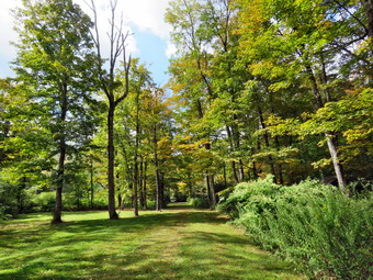 picture taken during a hike