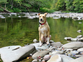 picture taken during a hike