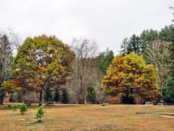 picture taken during a hike