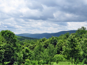 picture taken during a hike
