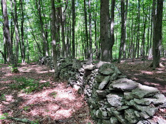 picture taken during a hike