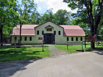 picture taken during a hike