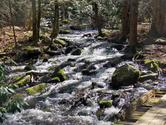 picture taken during a hike