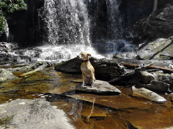 picture taken during a hike