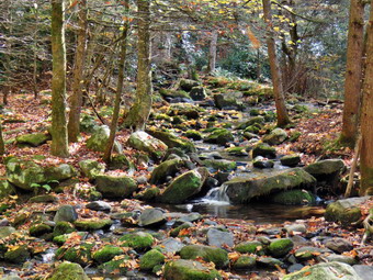 picture taken during a hike
