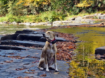 picture taken during a hike