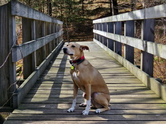 picture taken during a hike