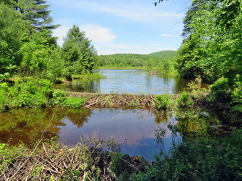 picture taken during a hike