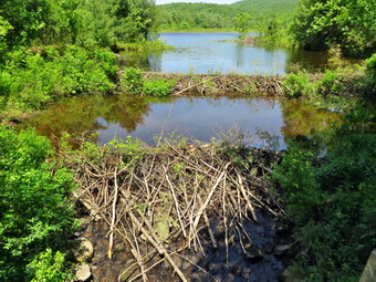 picture taken during a hike