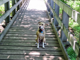 picture taken during a hike