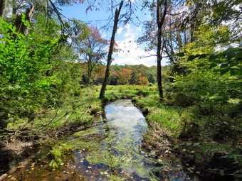 picture taken during a hike