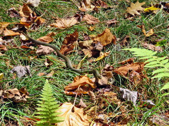 picture taken during a hike