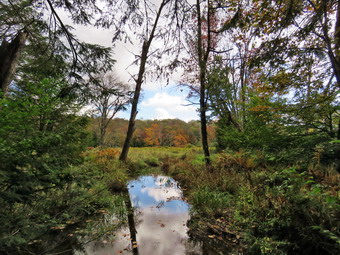 picture taken during a hike