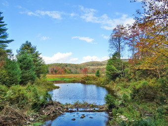 picture taken during a hike