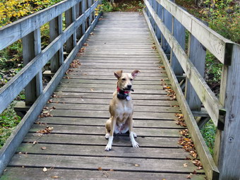 picture taken during a hike