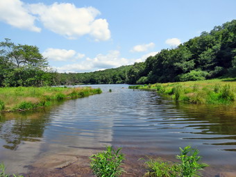 picture taken during a hike