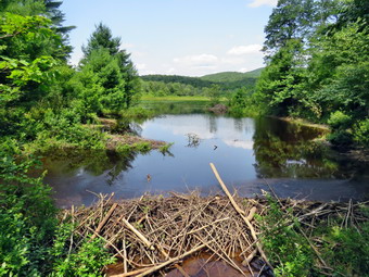 picture taken during a hike