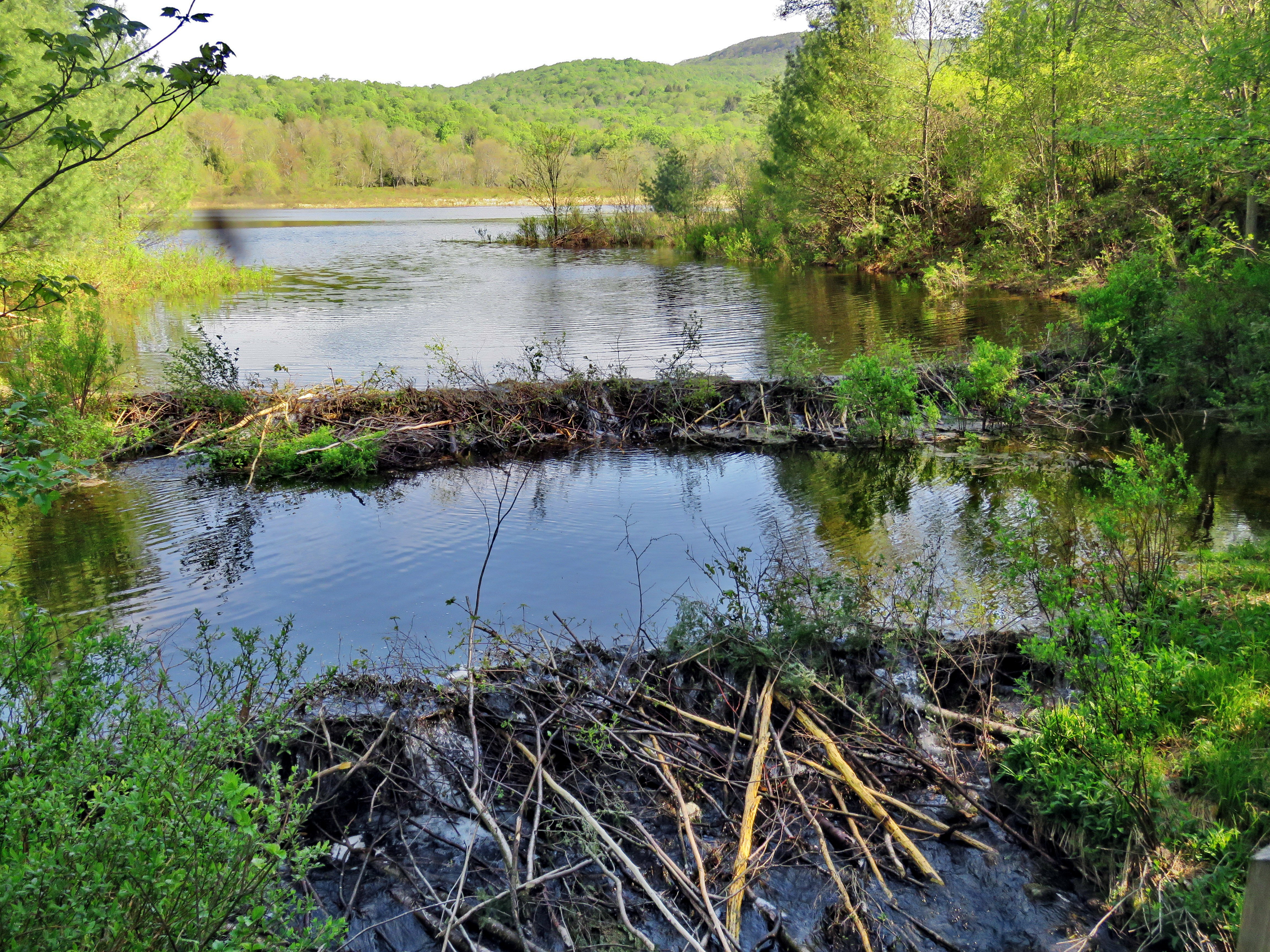 picture taken during a hike