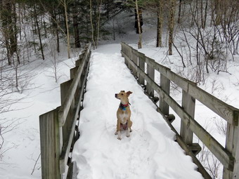 picture taken during a hike