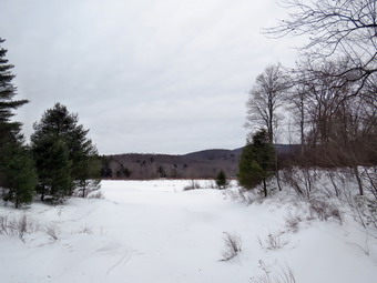 picture taken during a hike