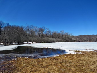 picture taken during a hike