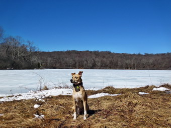 picture taken during a hike