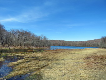picture taken during a hike